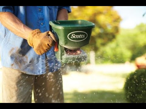 How to Overseed your Lawn