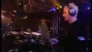 Elegantly Wasted - Amazing -