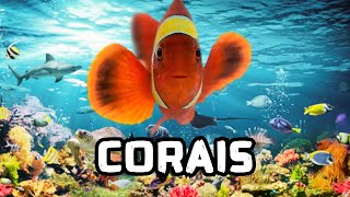 CORAIS: Um Mundo De Cores No Fundo Do Mar - Documentário