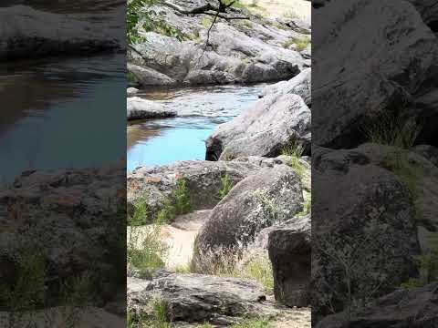 Villa Cañada del Sauce - Tremendo lugar #vacaciones2025