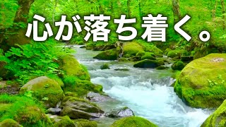 【夏の癒しBGM】心が落ち着く優しいリラックス音楽、自律神経を整え不安やストレス解消のためのヒーリングミュージック/睡眠用・作業用・勉強用BGM