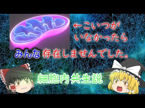 プラコゾアについて詳しく解説