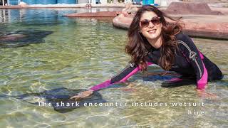 Irukandji Highlights 2020