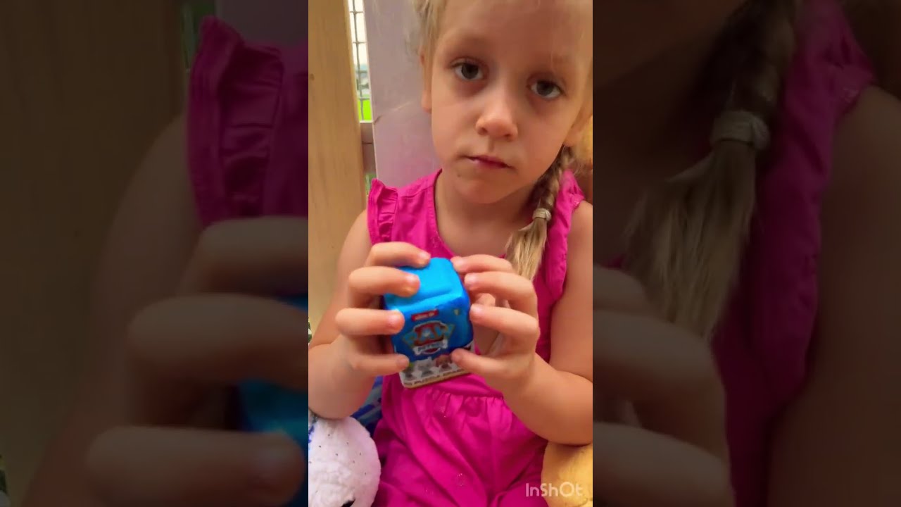 BOXY NIESPODZIANKI PSI PATROL 🤩 NELA I LILA TWINS STORY