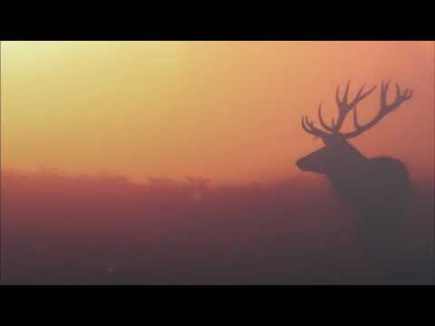 Николай Эрденко и Ансамбль Джанг Солнышко