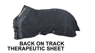 Back on Track Therapeutic Mesh Sheet