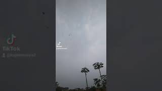 Download lagu story'wa layangan gapangan ludoyo mp3