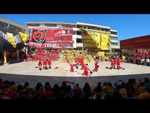 POMS POMS LIONS 2024 GANADORAS