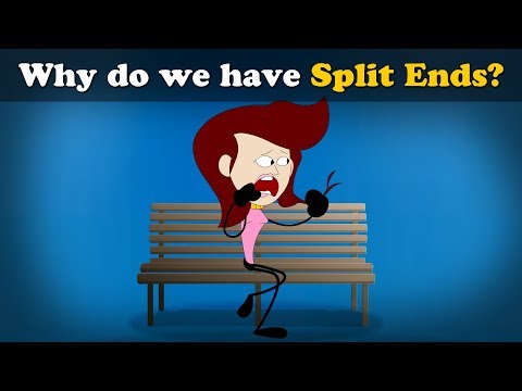 Why do we have Split Ends? + more videos | #aumsum #kids #science #education #children