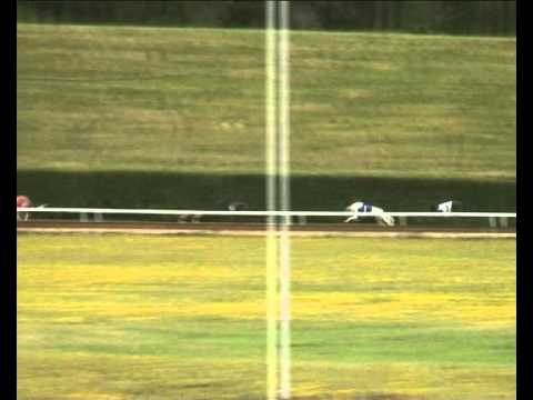 Federation Trophy A2 Consolation - 2011