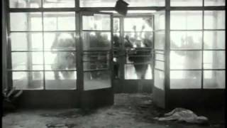 Biophage 2010 Trailer