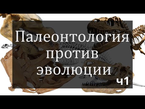 Палеонтология против эволюции | Колчуринский Николай Юрьевич | Часть 1