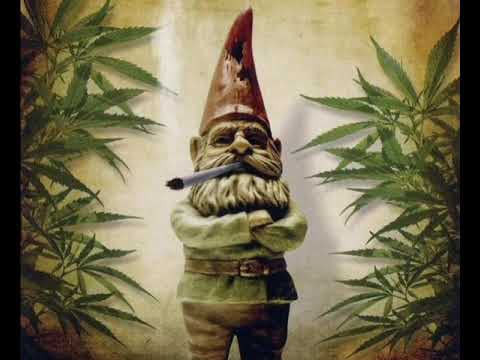 Amigoz - Alles Was Ich Will