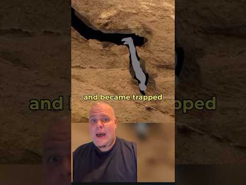 Maximum Claustrophobia (Nutty Putty Cave Incident) #shorts