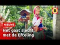 Efteling lijdt 17 miljoen verlies door coronacrisis | Omroep Brabant