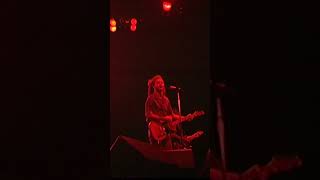 Hoodoo Gurus - What's My Scene (Live / Shorts)