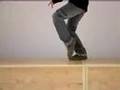 Cat Walking In Tai Chi Caminando Como Un Gato