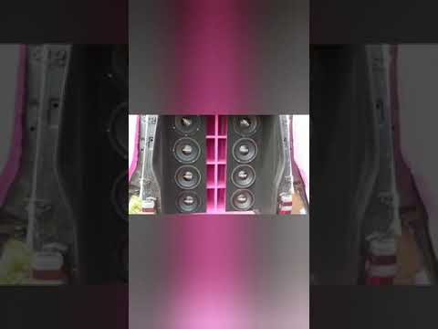 FIORINO PANTERA COR DE ROSA DE PARANACYTI - PR🇧🇷👊