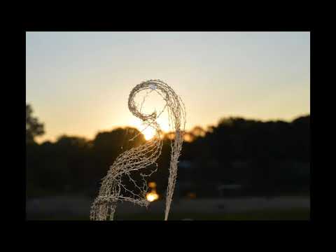 Andreana's Soulshine