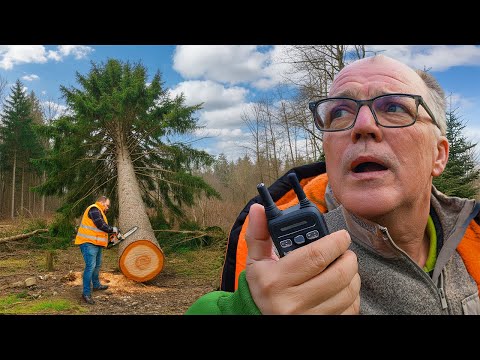 So holen OSTFRIESEN ihren Weihnachtsbaum! I Udo & Wilke