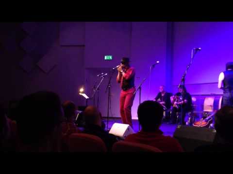 Light of Day 2013 Sweden - Guy Davis - Did You See Me Baby