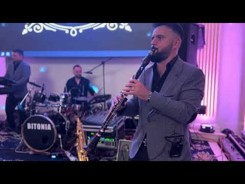 BITONIA - INSTRUMENTAL LIVE 2024