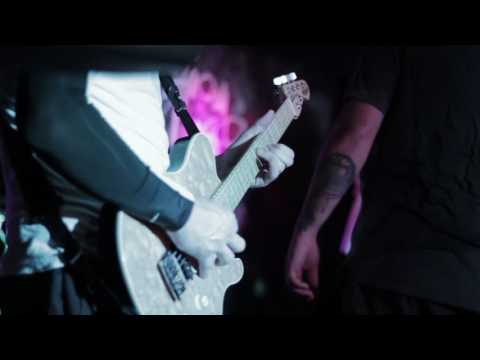 Dog Fashion Disco — "Envy the Vultures" (OFFICIAL VIDEO)