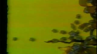 The Letter People TV 31 Review I