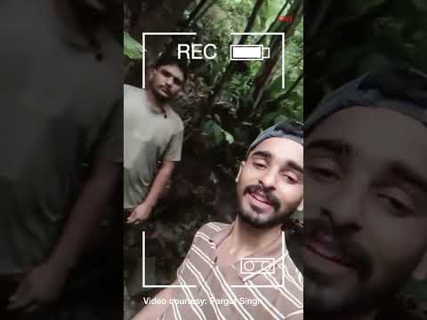 Embedded video