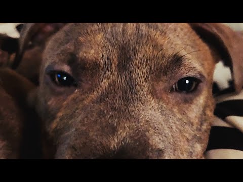 Kookin Wit Aunty KALEPE