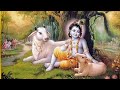 Sri Krishna Whatsapp Status