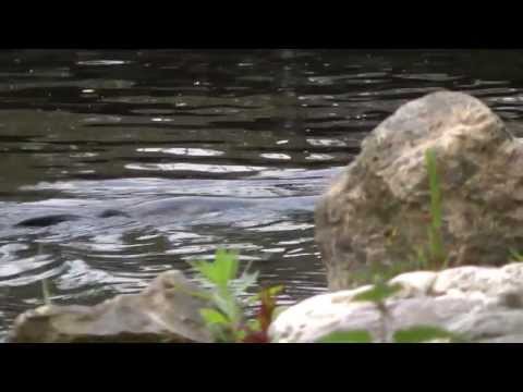 CL AquaZOO Friesland