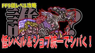 FF5 ネオエクスデスを低Lv+ジョブ統一でシバいてみた FINAL FANTASY V Make it all the same of job & level1 Neo Exdeath