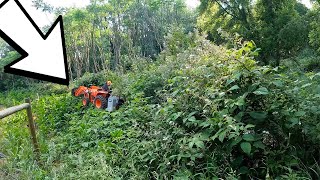 What's Hiding In This 20ft Tall Overgrown Property?