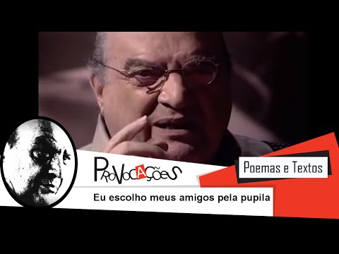 Eu escolho meus amigos pela pupila