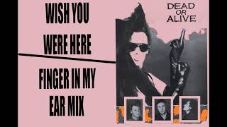 DEAD OR ALIVE Wish You Were Here (Finger In My Ear Mix) (A Mr. David Remix)
