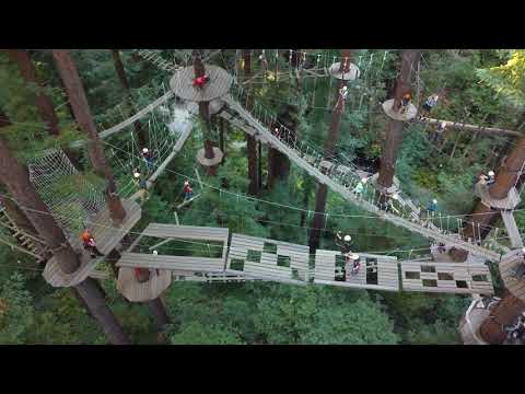 7Roots Creative video.