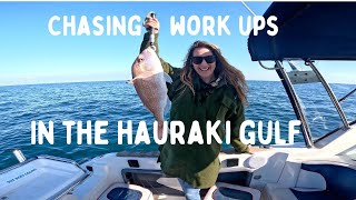Chasing work ups in the Hauraki Gulf- PB Snapper for Becky!