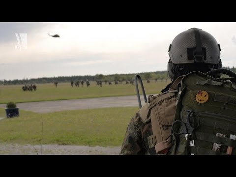 Schneller Adler 2013