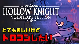 【HOLLOW KNIGHT】涙の都「Gホイホイ」から抜けられない｜トロコンを目指して #18【ホロウナイト】
