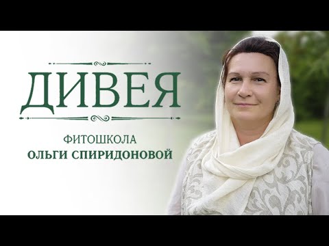 Растения для травника. Школа травника. Школа травника. Школа травника. Одежда травника.