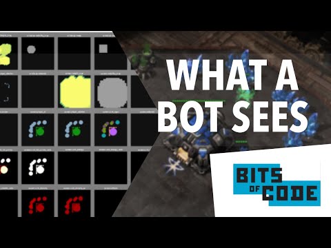 What Your SC2 Bot Can See