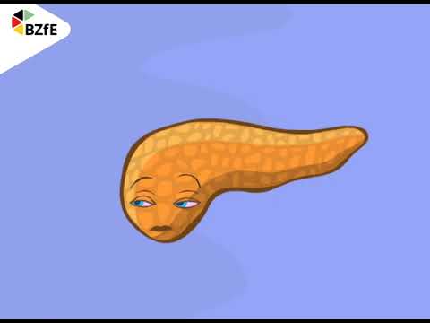 Talking pancreas