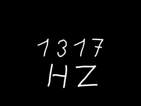 1317 hz