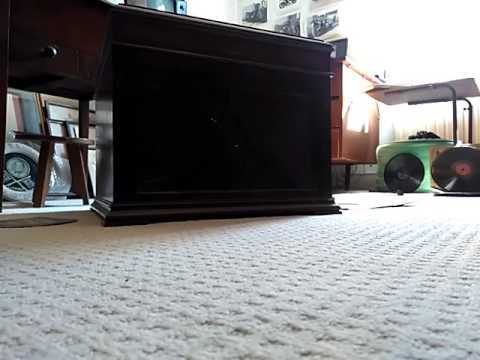 Gerald Adams: I Wish I Had My Old Girl Back Again