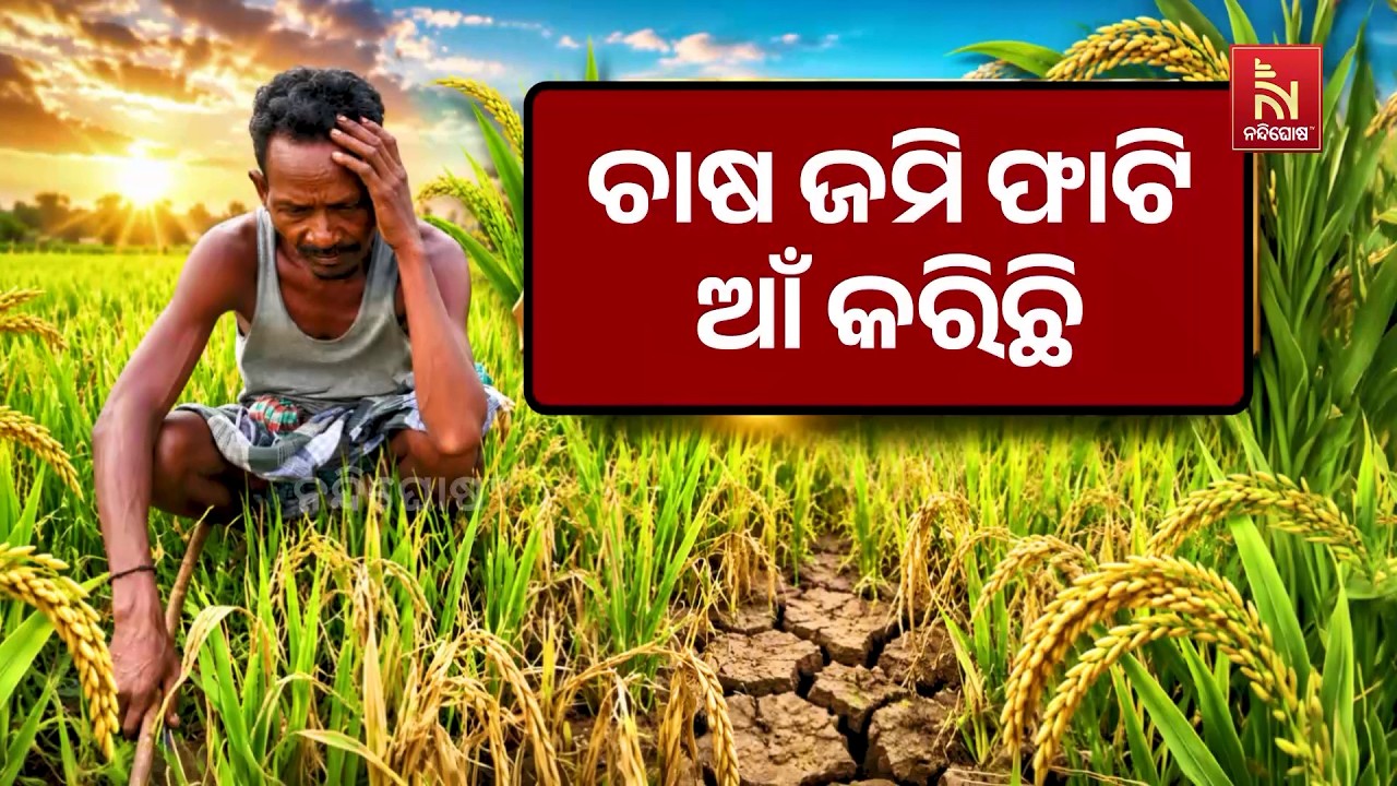 ବର୍ଷାର ଦେଖା ନାହିଁ। ଚାଷ ଜମି ଫାଟି ଆଁ କରିଛି। ମୁଣ୍ଡରେ ହା?