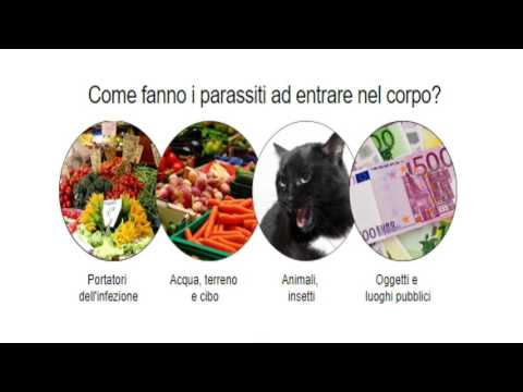 Che eliminare vermi grandi Segni di esistenza di parassiti in un forum del corpo umano