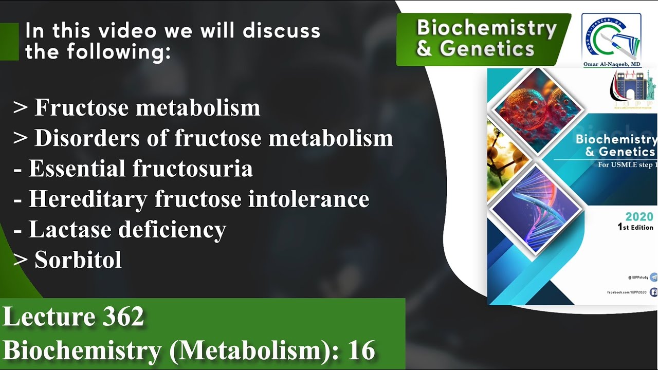 Fructose metabolism | Essential fructosuria | Hereditary fructose intolerance | Sorbitol