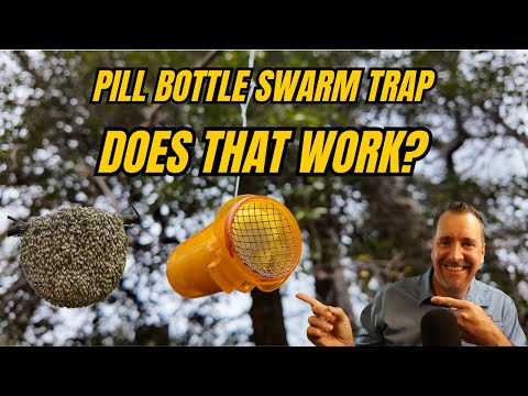 Pill Bottle Swarm Trap: Does This Actually Work? 🐝