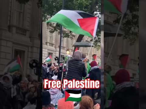 free Palestine|free Gaza| #freepalestine #freegaza